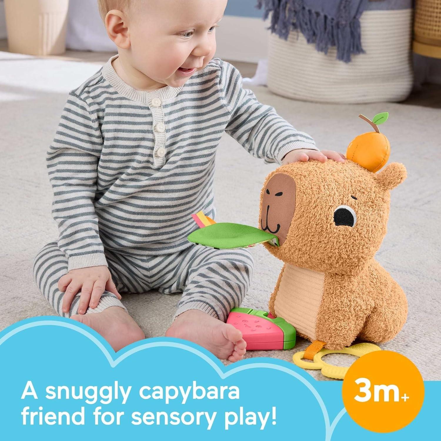 Fisher-Price Snuggly Snacky Capybara Plush Baby Sensory Toy