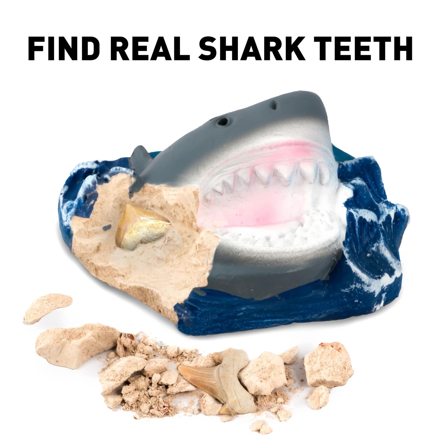 National Geographic Volcano & Shark Dig Kit Bundle