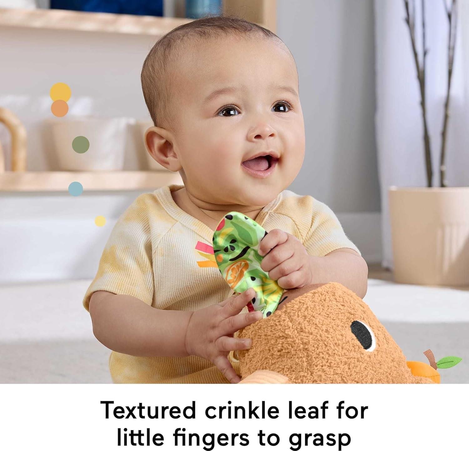 Fisher-Price Snuggly Snacky Capybara Plush Baby Sensory Toy
