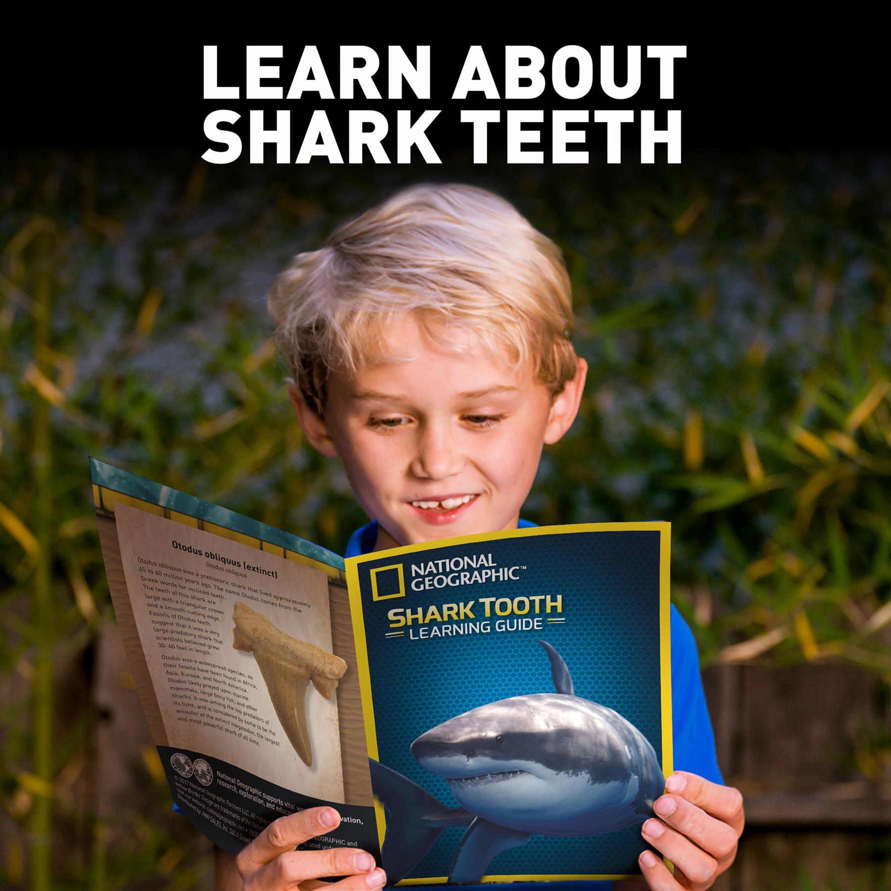 National Geographic Volcano & Shark Dig Kit Bundle