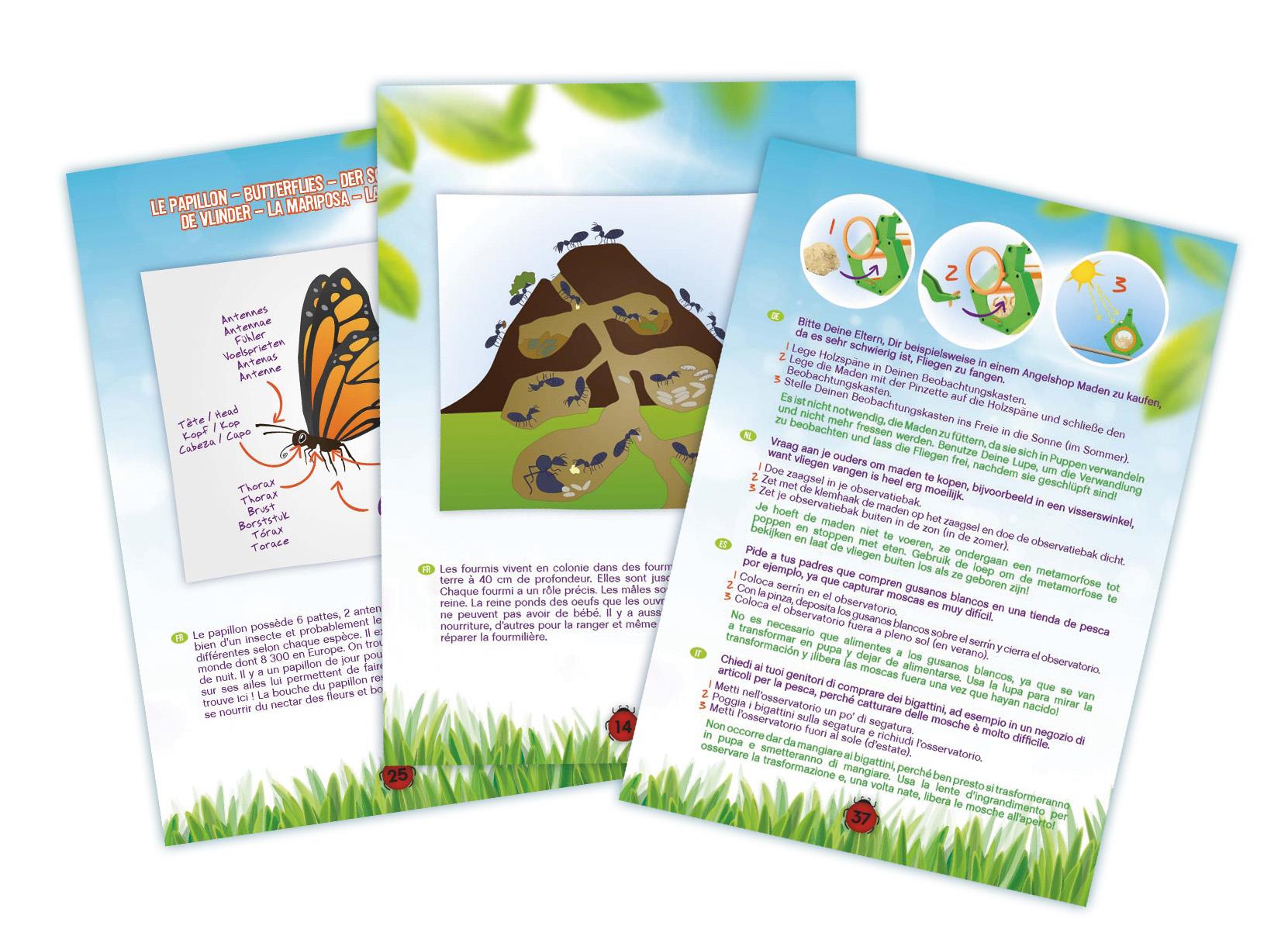 Buki France Insect Explorer Kit