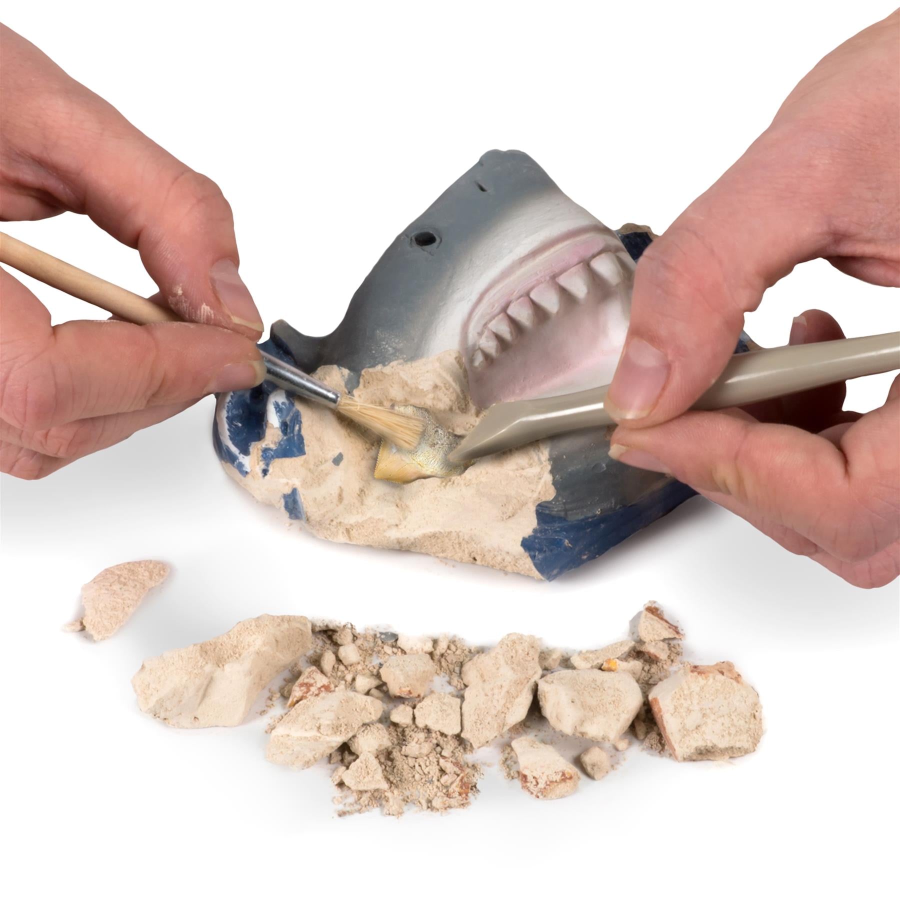 National Geographic Volcano & Shark Dig Kit Bundle