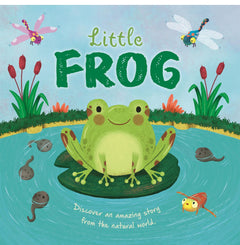 Little Frog Mini Story Book