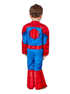 Deluxe Spidey and his Amazing Friends Costume