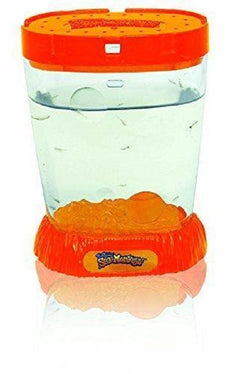 Sea Monkeys Ocean Zoo Orange