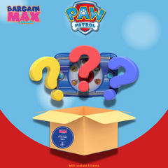 PAW Patrol Mystery Box