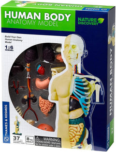 Thames and Kosmos Nature Discovery  Human Body Anatomy