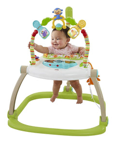 Fisher Price Space Saver Jumperoo